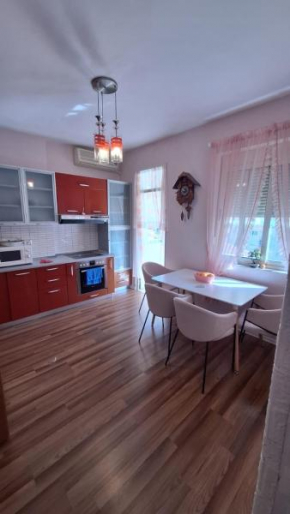 CozyFlat in the middle of Tirana
